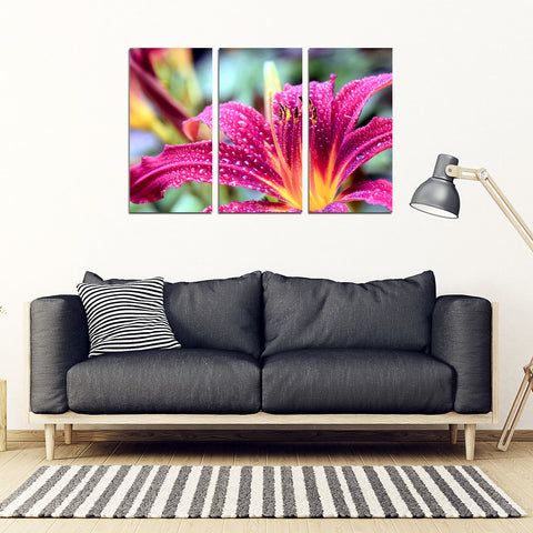 Lilly 3 Piece Framed Canvas